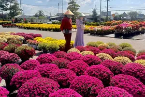 A flower market in Sa Dec, Dong Thap Province (Photo: SGGP)