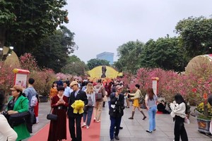 The Ly Thai To Flower Garden, with its expansive spring floral display, has become a favored destination for large numbers of Hanoi residents and visitors during the opening days of the Lunar New Year.