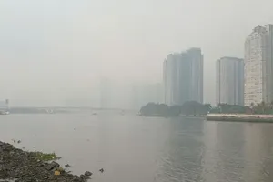 Ho Chi Minh City rolls out comprehensive measures to combat riverbank, and coastal erosion. (Photo: SGGP)