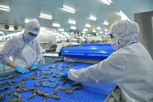 Vietnamese seafood enterprises accelerate shift toward the European market. (Photo: SGGP)