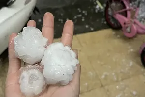 The hailstones are quite large in size.