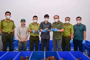 Representatives of Cuc Phuong National Park and forest rangers receive the rare turtle specimens. (Photo: Department of Forestry and Forest Protection)