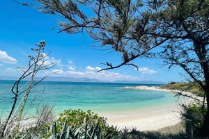 Visitors immersed in pristine beauty of Hon Cau Island
