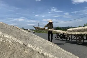 Residents in Hanoi’s suburban areas dry arrowroot vermicelli under scorching heat of 37–39 degrees Celsius. (Photo: SGGP)