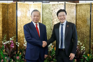 General Secretary of the Communist Party of Vietnam Central Committee and State President To Lam (left) meets with Singaporean Prime Minister Lawrence Wong on May 29. (Photo: VNA)