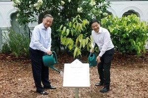 General Secretary of the Communist Party of Vietnam Central Committee and State President To Lam joins Singaporean Prime Minister Lawrence Wong in the tree-planting ceremony on May 30. (Photo: VNA)