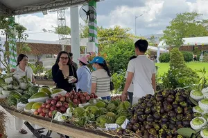 The fruit festival attracts a large number of visitors. (Photo: SGGP)