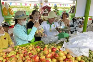 Visitors purchase fruits at Suoi Tien Cultural Tourism Area. (Photo: SGGP)
