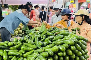 Residents purchase avocados at the fair. (Photo: SGGP)