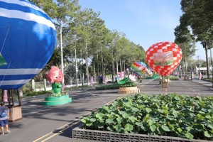 Dong Thap’s “Lotus Road” attracts visitors