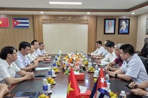 At the working session (Photo: VNA)