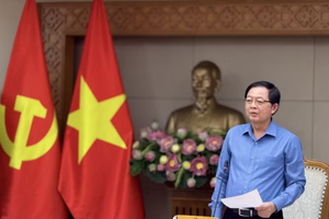 Deputy Prime Minister Ho Quoc Dung speaks at the meeting (Photo: VNA)