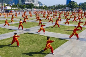 Martial arts practitioners perform traditional martial arts during a mass demonstration. (Photo: SGGP)