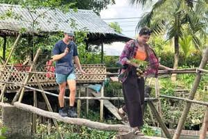 Tourists experience crossing a traditional monkey bridge.