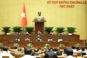Vice Chairman of the National Assembly Nguyen Doan Anh (standing) presides over the session on August 8. (Photo: SGGP)
