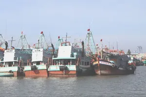 Tightening controls over offshore fishing activities is a key task for Ho Chi Minh City during its month-long campaign to combat IUU fishing and fully address the EC’s recommendations. (Photo: SGGP)