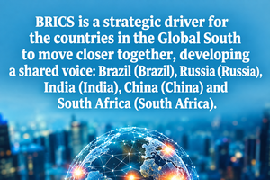Vietnam proactively expands cooperation through BRICS