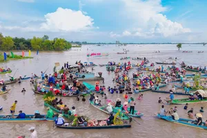 Mekong Delta’s floating season draws crowds to Dong Thap Muoi