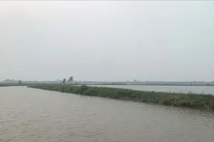 Haze blanketing the Southern region (Photo: SGGP)