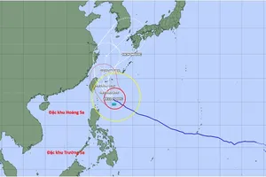 Updated forecast of Typhoon Champi’s track, according to the Japan Meteorological Agency. Source: National Center for Hydro-Meteorological Forecasting.