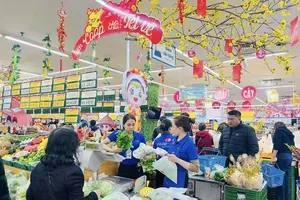 Nhiều sản phẩm tại hệ thống siêu thị Saigon Co.op giảm giá mạnh ngay đầu năm