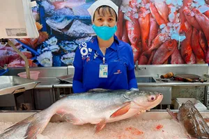 Cá tra được tiêu thụ tại hệ thống siêu thị Saigon Co.op