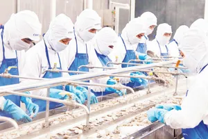 Chế biến tôm đông lạnh xuất khẩu tại Công ty Cofidec, TPHCM