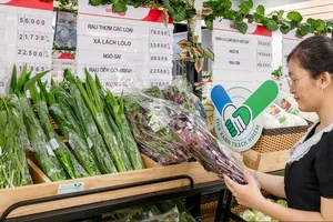 Khách hàng mua sắm tại Centre Mall 1466 đường Võ Văn Kiệt, phường Bình Tiên, TPHCM