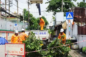 Nhân viên ngành điện TPHCM phối hợp đơn vị quản lý cây xanh thực hiện mé nhánh, tỉa cành, đề phòng cây xanh ngã vào lưới điện