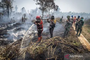 Indonesia đóng cửa 9 vườn quốc gia do cháy rừng