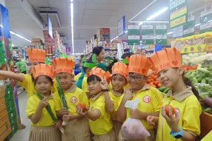 Học sinh Trường Tiểu học Nguyễn Thái Học (quận 1) - một trong 40 trường thực hiện mô hình tiên tiến hội nhập