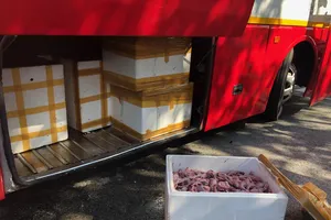 Cần Thơ: Phát hiện xe chở động vật số lượng lớn không rõ nguồn gốc