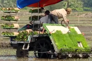 Kinh tế tuần hoàn hướng đến xây dựng nền kinh tế phát triển nhanh