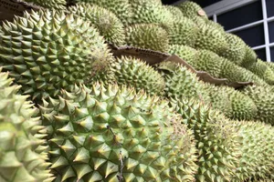 Bộ trưởng Bộ Nông nghiệp và Môi trường: Sẽ có thông tư siết mã số sầu riêng