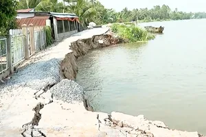 Vị trí sạt lở năm trước tại Tân Long Hội. Ảnh: CTV