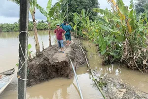 Đoạn đê bị sạt lở tại cồn Sơn. Ảnh: CAO PHONG