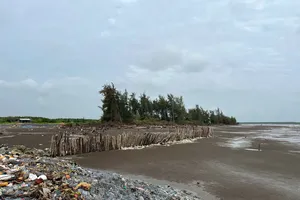 Sạt lở bờ biển tại Vĩnh Long đang diễn biến phức tạp