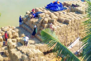 Chợ rơm Ba Lai (thuộc xã Tân Xuân, tỉnh Vĩnh Long). Ảnh: HUY TRẦN