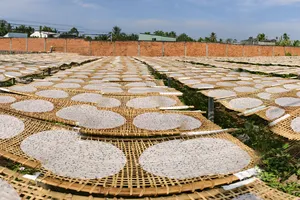 Làng nghề bánh tráng Mỹ Lồng tất bật sản xuất phục vụ Tết Bính Ngọ 2026. Ảnh: TÍN HUY