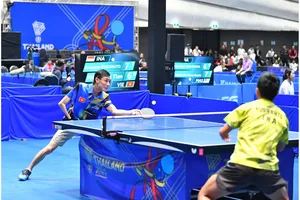 Những “chiến binh” bền bỉ