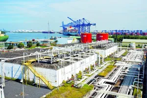 Cước vận tải leo thang: Doanh nghiệp xuất khẩu chịu áp lực kép