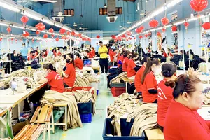 Tạo nền tảng để tăng trưởng hai con số