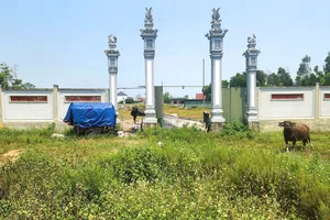 Dự án tôn tạo đền Xứ thành nơi nuôi gia súc