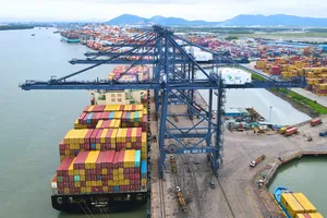 Từ rừng đước hóa siêu cảng