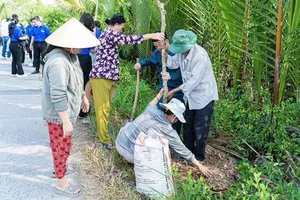 “Thành phố muôn sắc hoa” lan tỏa khắp phố phường