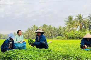 Nông dân tự tin đưa sản phẩm vươn xa