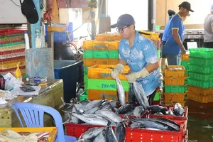 Từ cuốn sổ đến dữ liệu điện tử