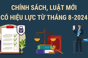 尚未落实的政策自2024年8月起生效