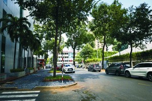 第一郡阮文占街的人行道日久失修，已获拆除重建。