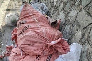 读者之声：须将乱丢垃圾者公诸于世